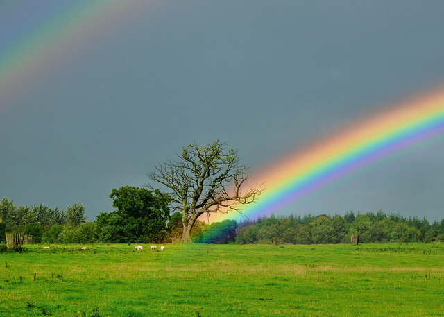 rainbow.jpg