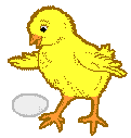 chick