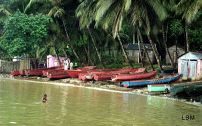 canoe
