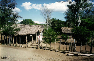 Higuerito