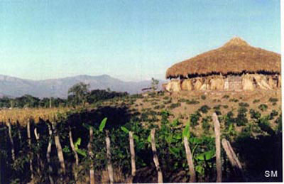 hut