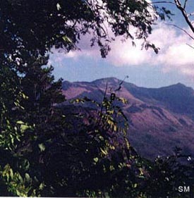 mountain