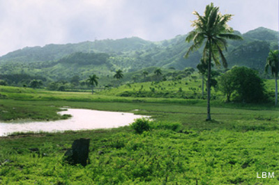 valley
