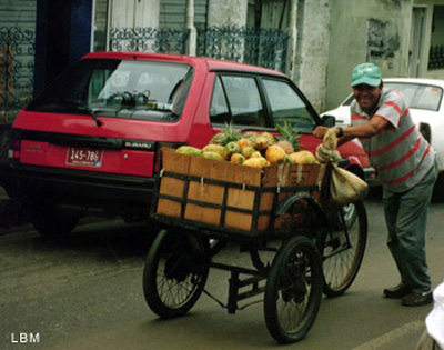 vendor