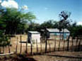 blue house