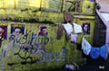 graf
