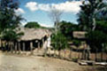 Higuerito