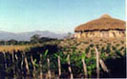 hut