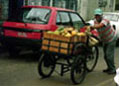 vendor